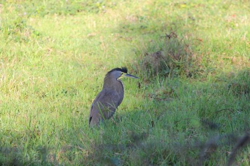 IMG_4102